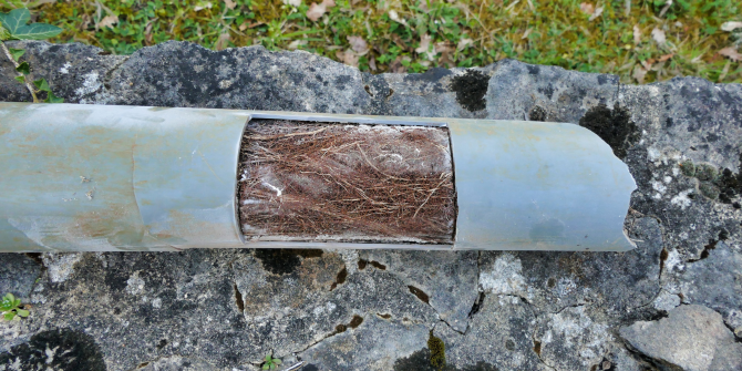 damaged drainage system root ingress