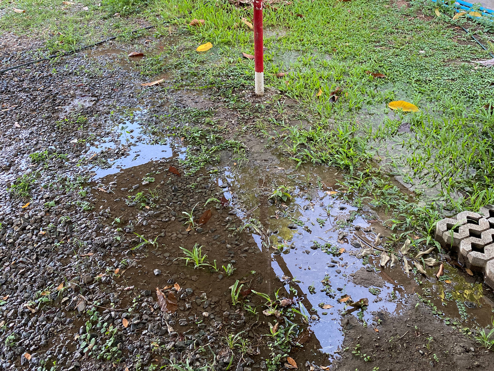Percolation Test - Flooded ground