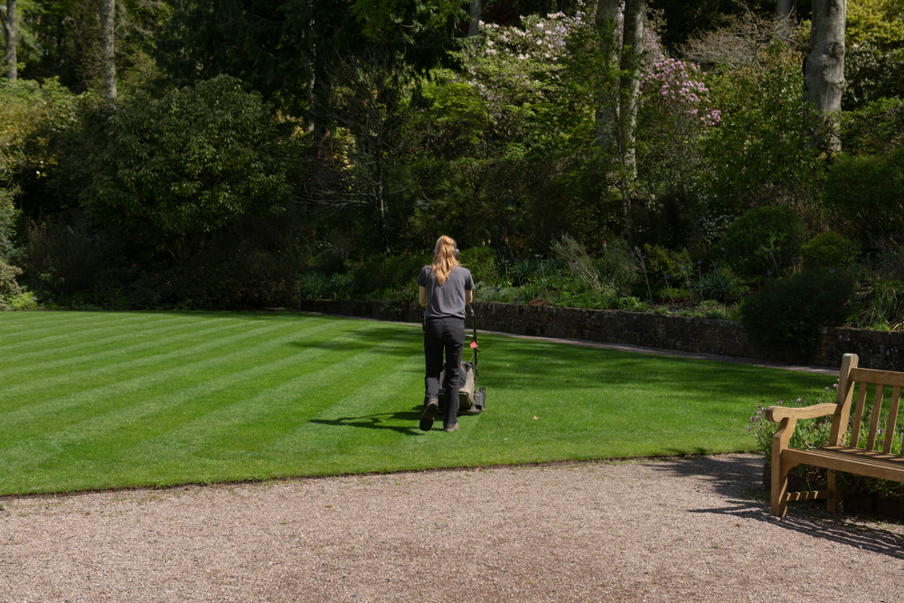 Blonde Female Gardener Mowing a Lawn with Diagonal Stripes on a Bright Sunny Day in a Garden in Rural Devon, England, UK