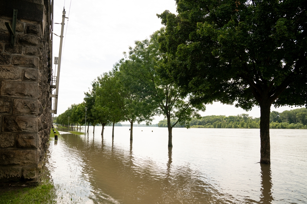 flooded path