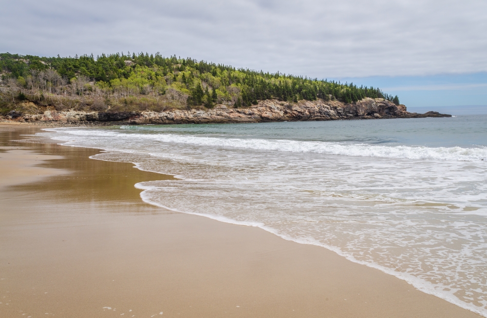 Sandy beach in the summertime